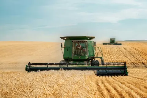 Агроіндекс зріс найбільше за 14 років: що відбувається з цінами