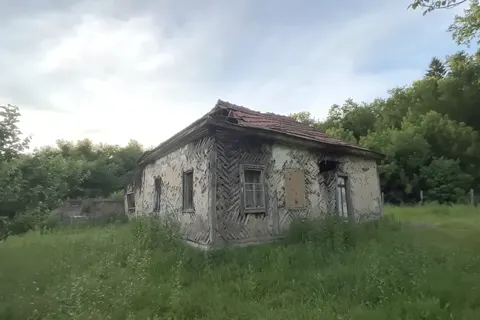 Село-привид на Чернігівщині: природа повертає Новоселицю собі