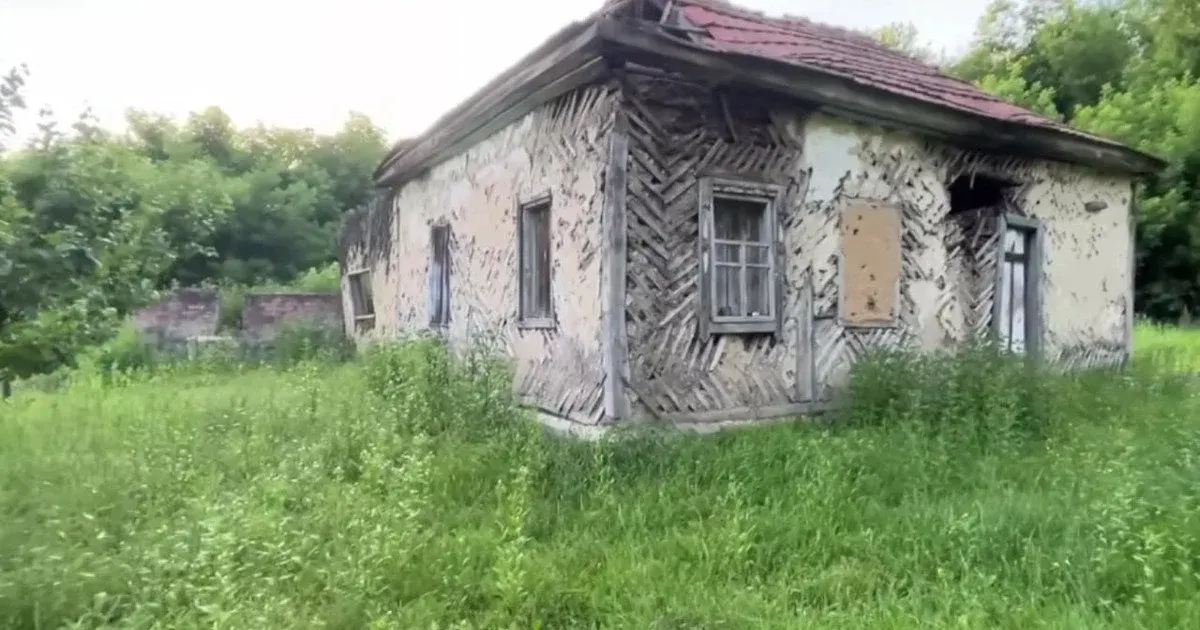 Село-привид Новоселиця на Чернігівщині: як виглядає покинутий населений пункт