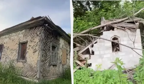 Село-привид на Чернігівщині: як Новоселиця зникає в лісових хащах